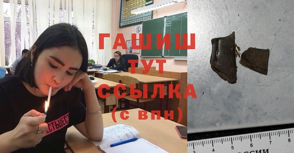 соль ск Алексин