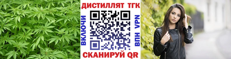 ТГК концентрат Арамиль